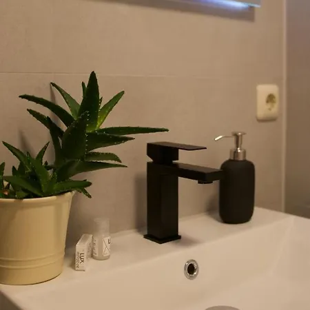 Design-Loft in zentraler Lage in Leipzig Apartment *